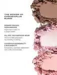 Alternative Image Morphe Jewel Intentions Eyeshadow Trio