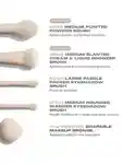 Alternative Image Morphe Oat Latte5 Piece Face& Eye Brush Set