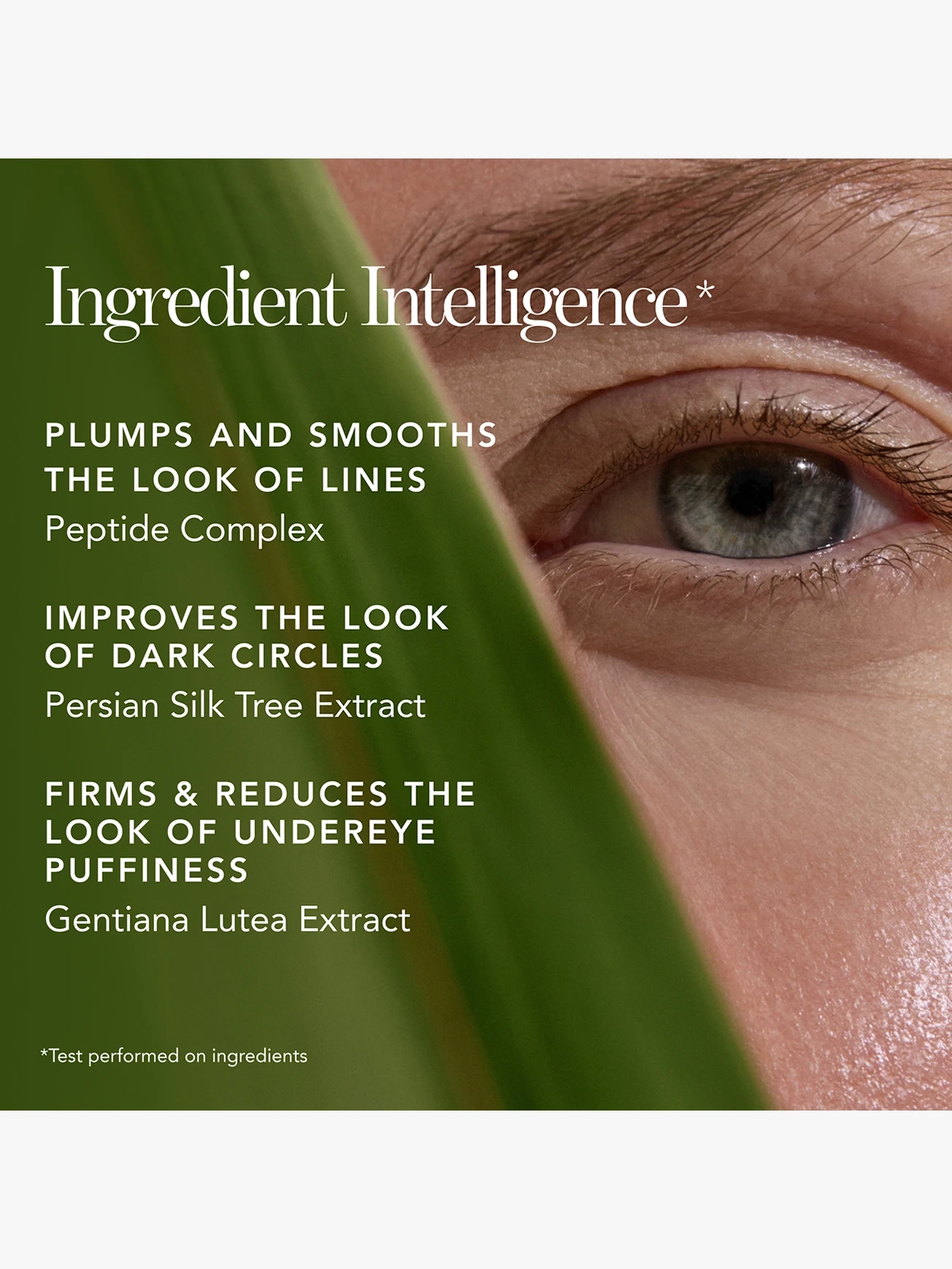 Alternative Image Chantecaille Bio Lifting Concealer