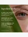 Alternative Image Chantecaille Bio Lifting Concealer