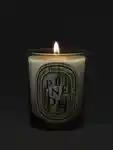 Alternative Image Diptyque Pinede Candle