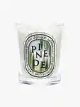 Hero Diptyque Pinede Candle