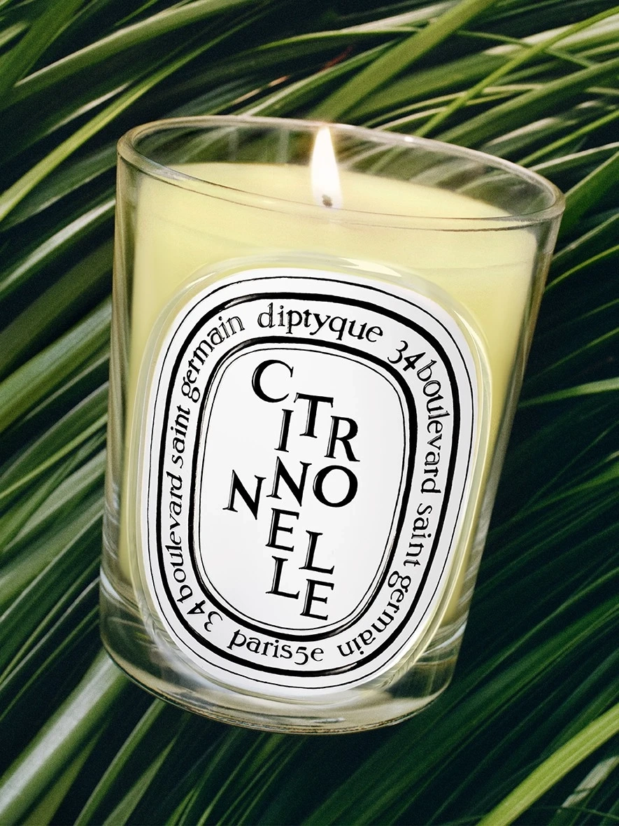 DIPTYQUE - Citronnelle Classic Candle | MECCA