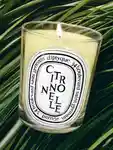 Alternative Image Diptyque Citronelle Candle