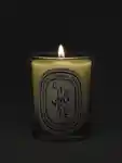Alternative Image Diptyque Citronelle Candle