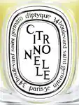 Alternative Image Diptyque Citronelle Candle