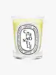 Hero Diptyque Citronelle Candle