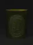 Alternative Image Diptyque Figuier Candle600g