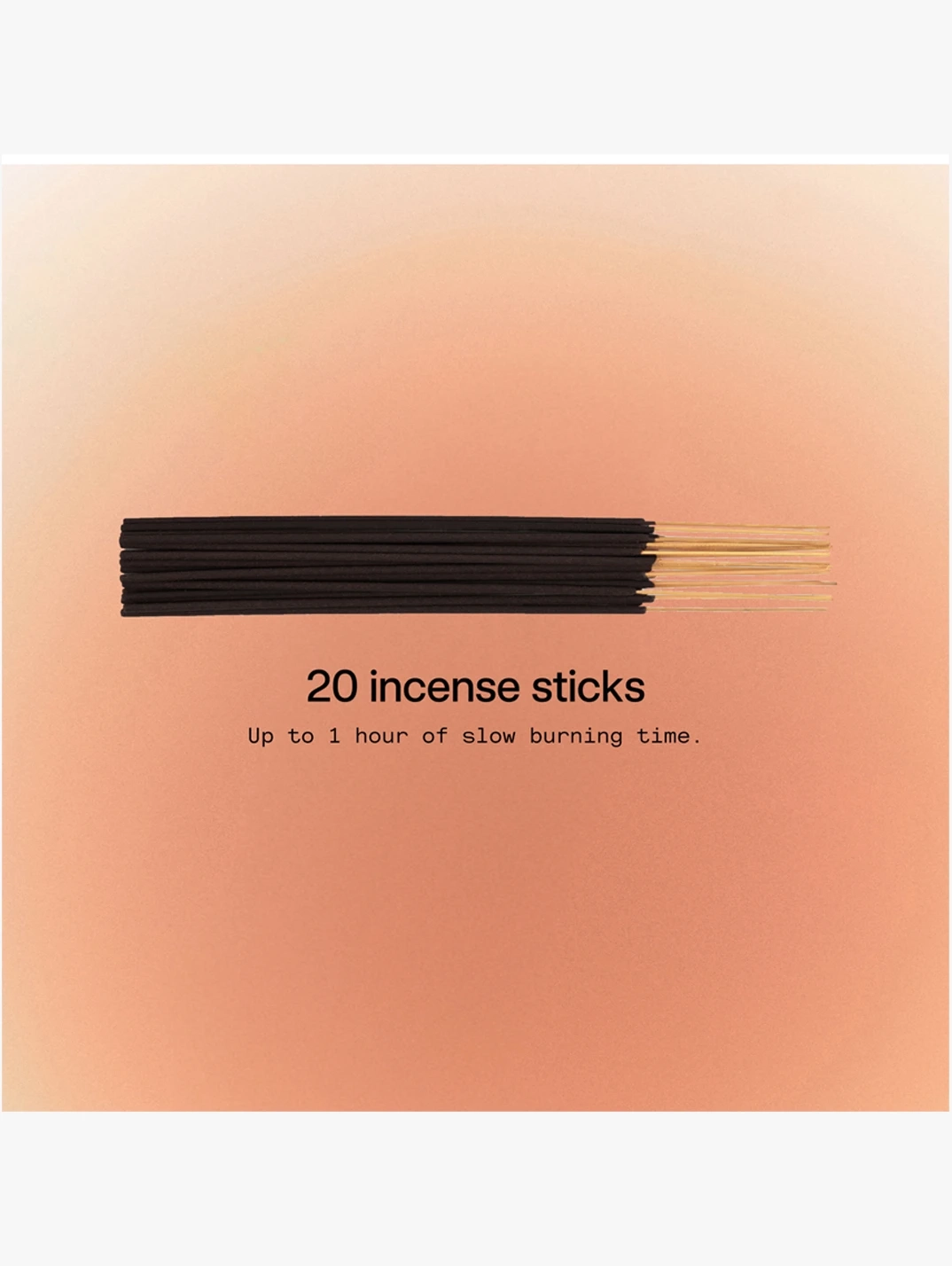 Alternative Image Dedcool Taunt Incense Sticks