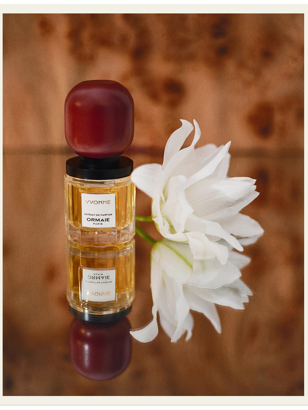 Ormaie - Yvonne Extrait | MECCA