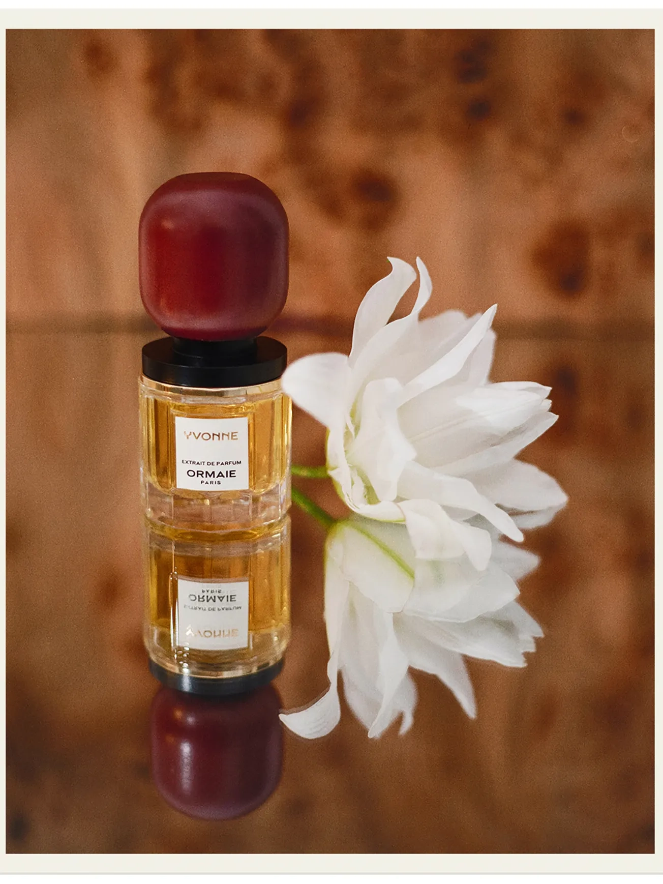 Ormaie - Yvonne Extrait | MECCA