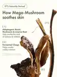 Alternative Image ORIGINS Mega Mushroom Relief Resilience Treatment Lotion