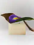 Alternative Image HORACE Horace Superfatted Soap Bar