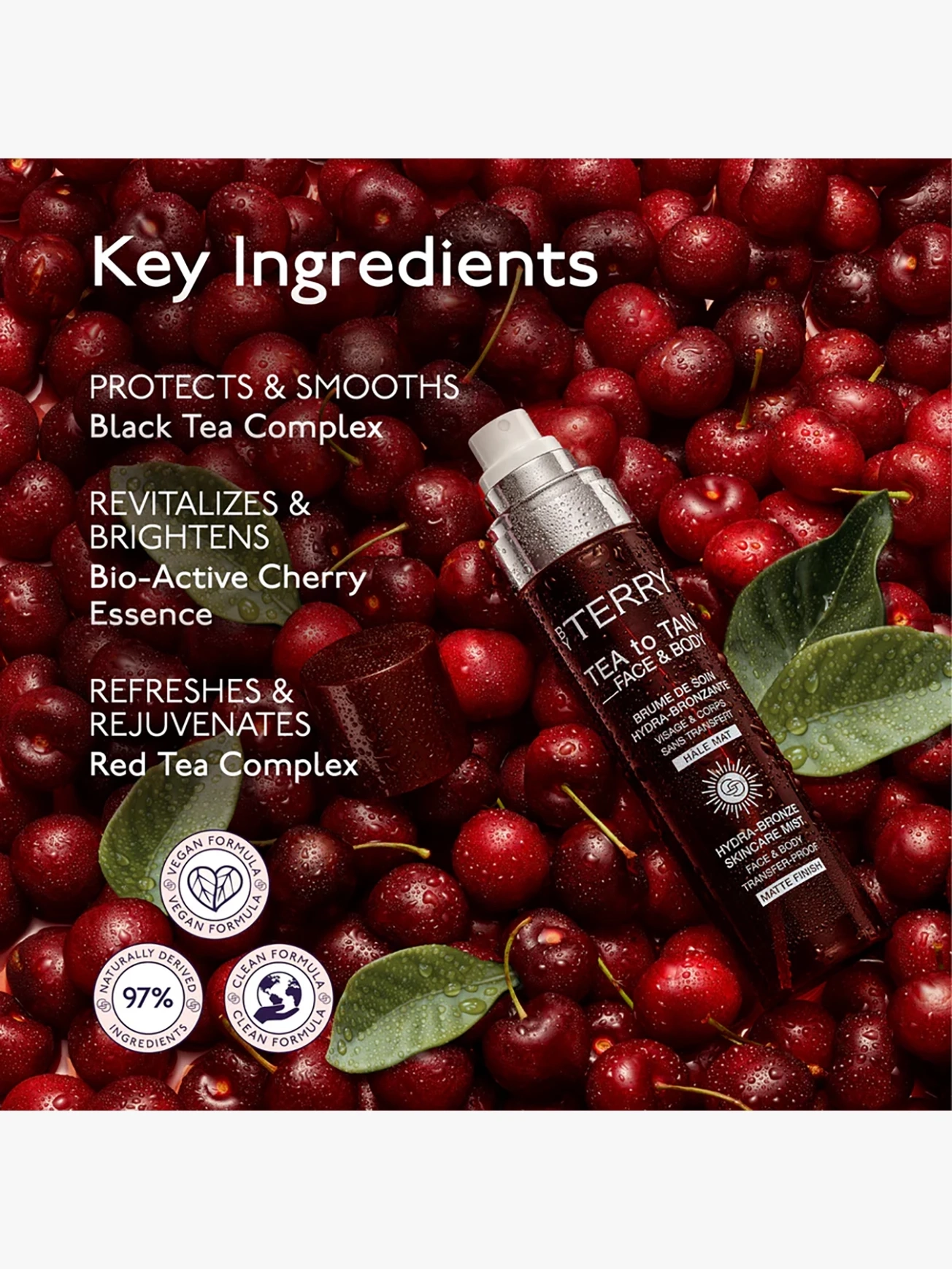 Alternative Image By Terry Tea To Tan Travel Set