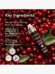 Alternative Image By Terry Tea To Tan Travel Set