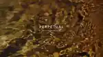 video-fallback-image