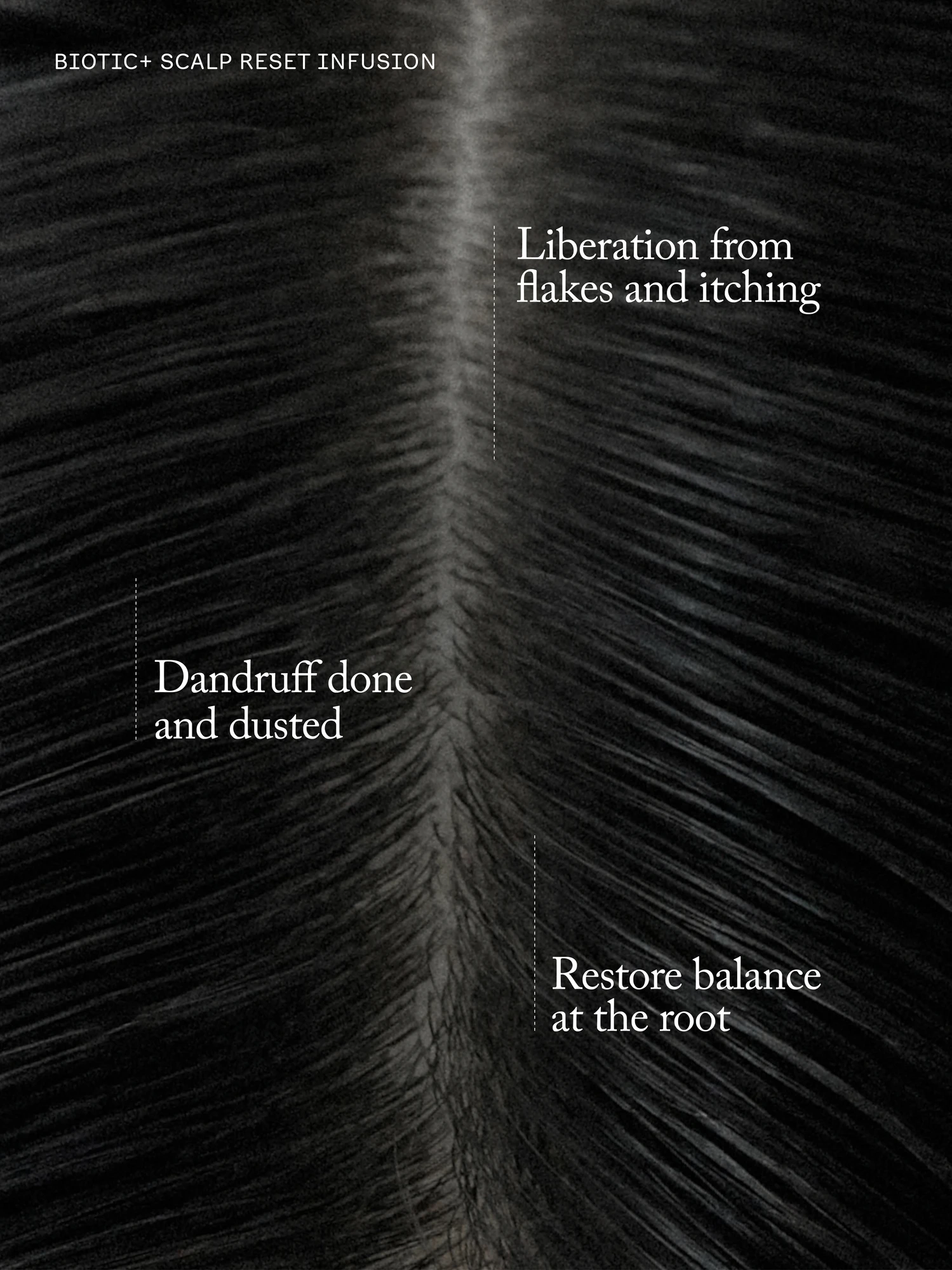 Alternative Image Sans Ceuticals Biotic Scalp Reset Infusion
