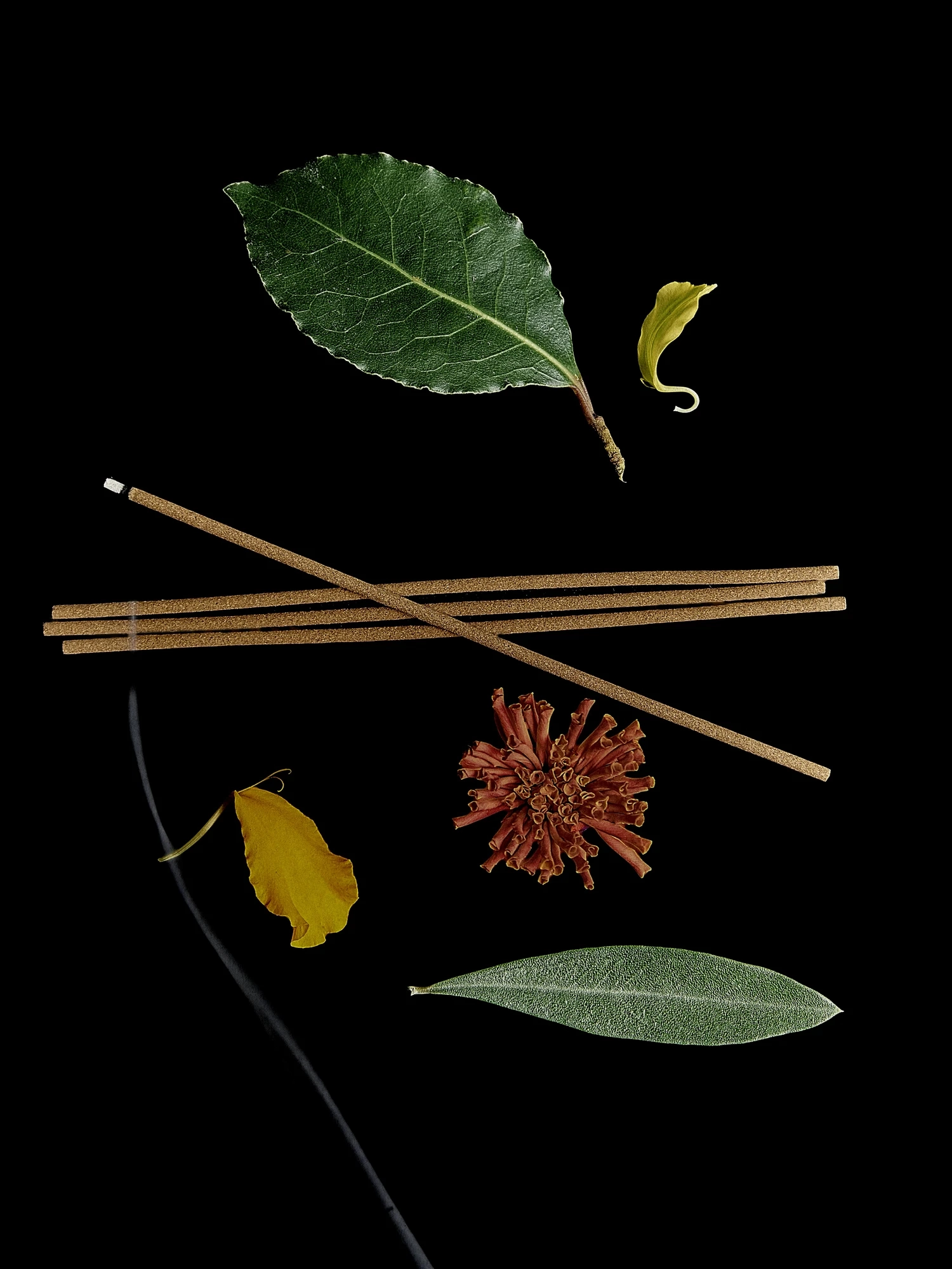 Alternative Image Tsu Lange Yor Yallingup Incense