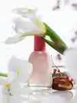 Alternative Image Glossier Glossier You Duo