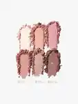 Swatch Morphe Mauve Mode Eyeshadow6 Pan Pallete