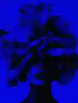 Alternative Image BIBBI Iris Wallpaper100ml
