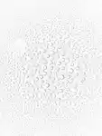 Swatch Rhode Glazing Mist