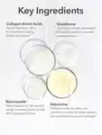 Alternative Image DRDENNISGROSS Drx Biorejuvenation Serum