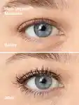 Alternative Image CLINIQUE Eye Essentials High Impact Lash Set