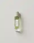 Alternative Image To My Ships The Incessant Anxiety Geranium Eau De Toilette100m L
