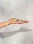Alternative Image KITSCH Metal Clam Shell Hair Clip Set