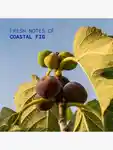 Alternative Image KORRES Hand Cream Coastal Fig