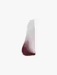 Swatch Dries Van Noten Lipstick Bullet Grunge Plum
