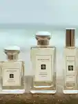 Alternative Image Jo Malone London Sea Salt Bergamot Cologne
