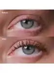 Alternative Image Fara Homidi Beauty Pool Slick Lash Lacquer