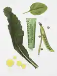 Alternative Image YOUTHTOTHEPEOPLE Superfood Retinol Plus Collagen Peptides Protein Balm