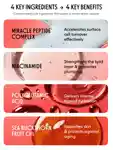 Alternative Image LOOPS Peptide Serum Pads