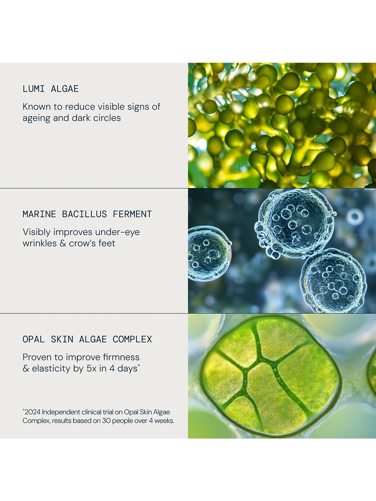 Alternative Image ELEMIS Future Restore Eye Serum