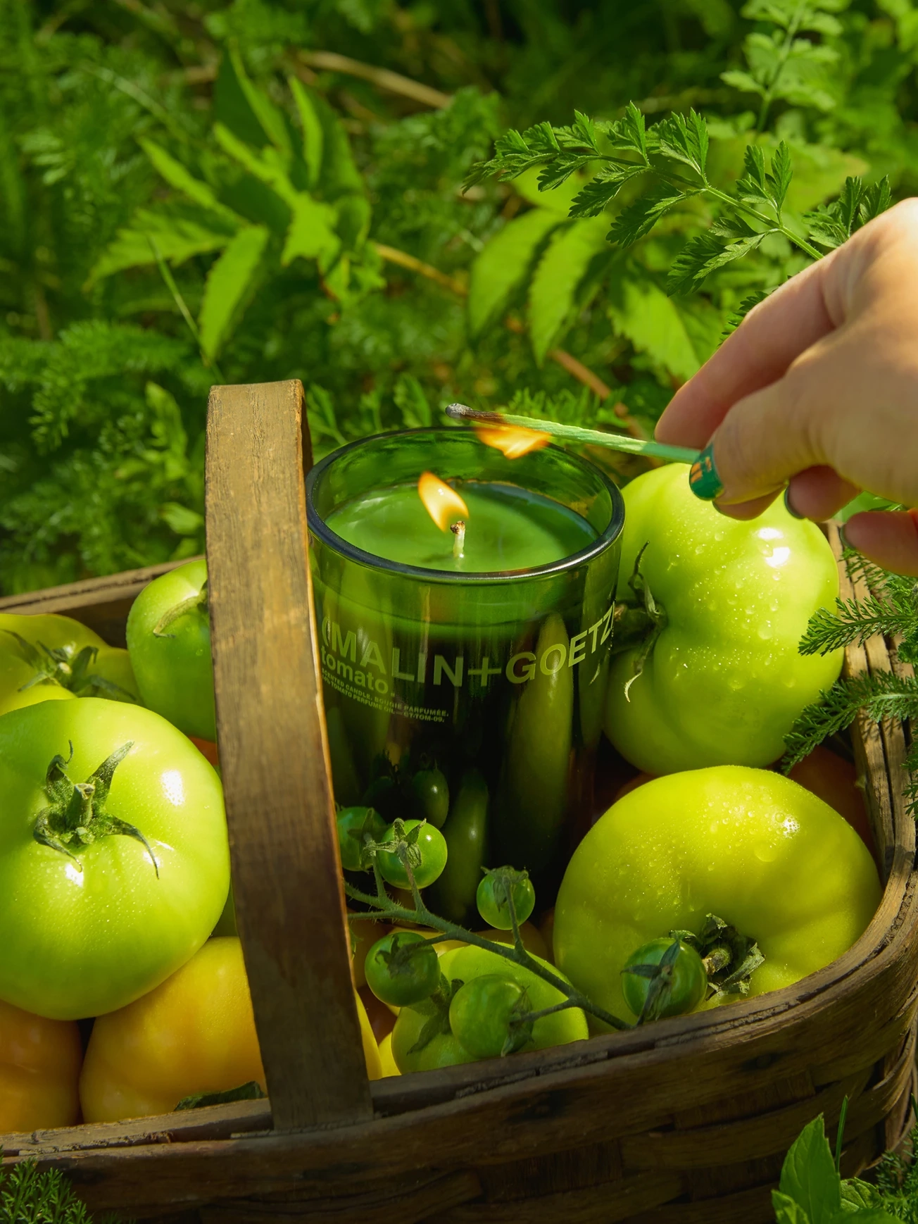 Alternative Image MALI N+ GOETZ Tomato Candle