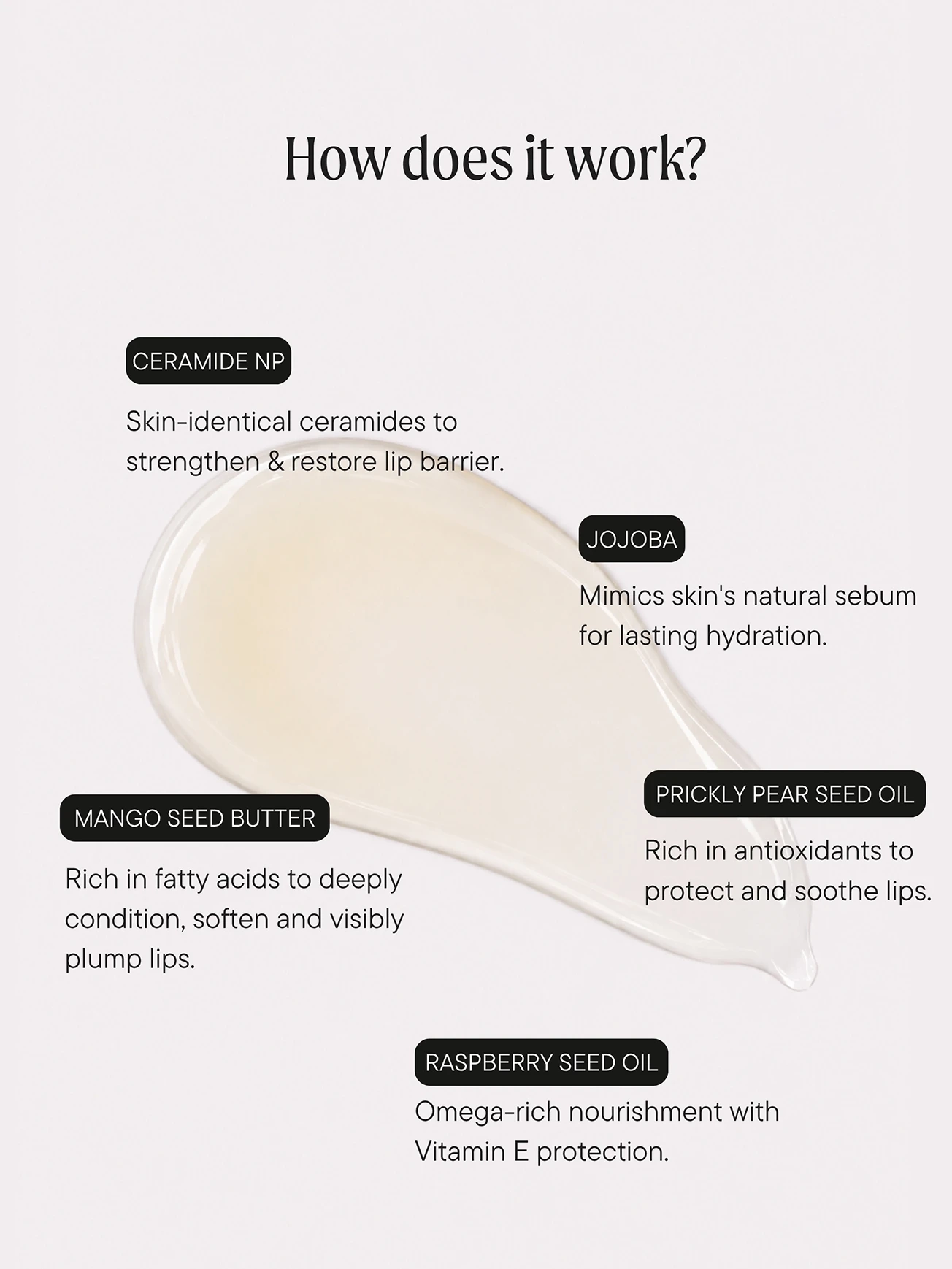 Alternative Image FUCA Ceramide Wet Gloss Lip Repair Treatment