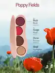 Swatch ILIA Beauty The Ethereal Baked Face Palette