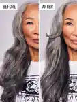 Alternative Image Hairstory Primer