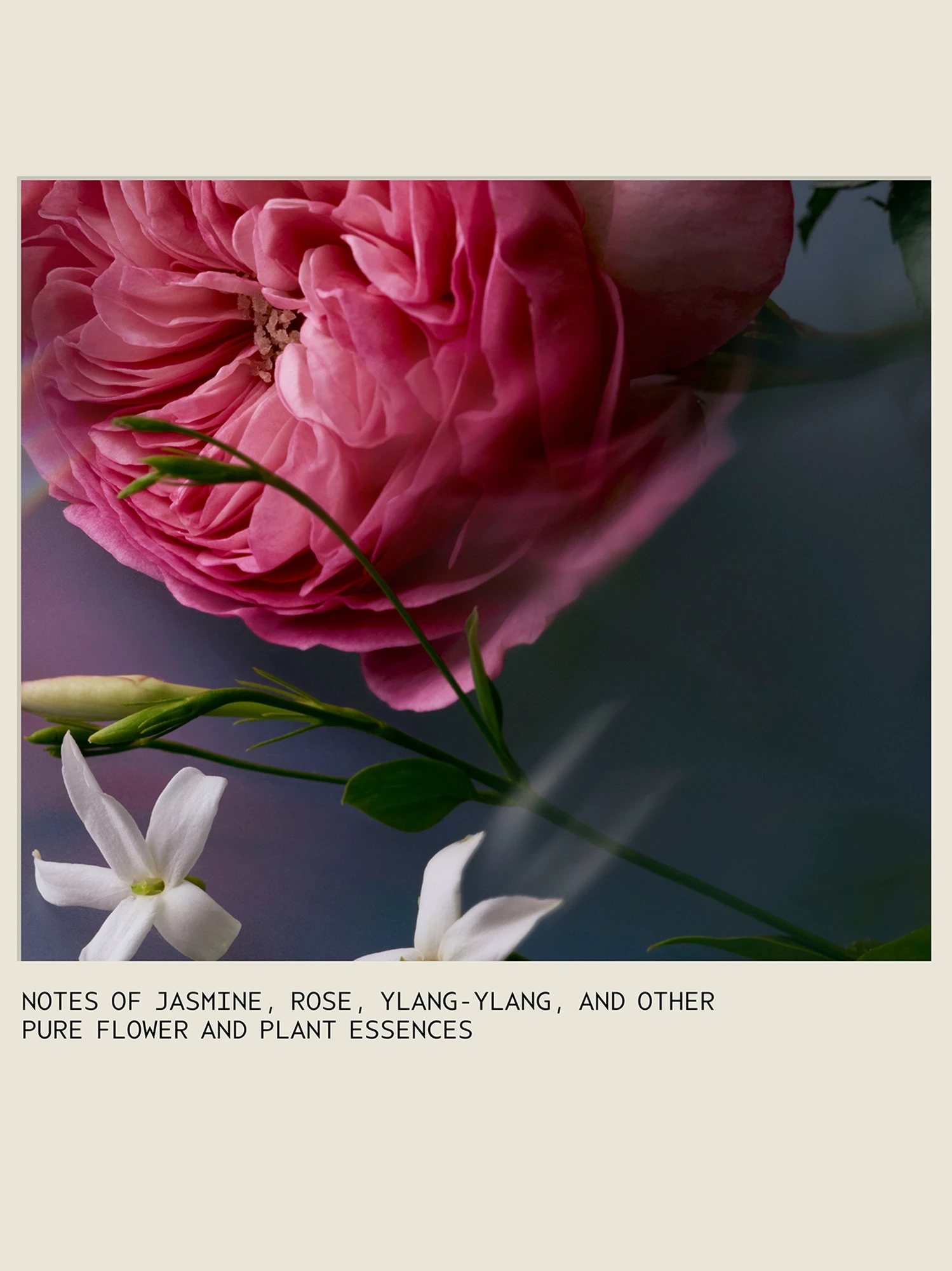 Alternative Image AVEDA One For All Leave In Elixir