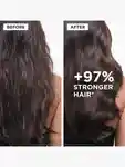 Alternative Image KERASTASE Chronologiste Regenerating Shampoo250m L