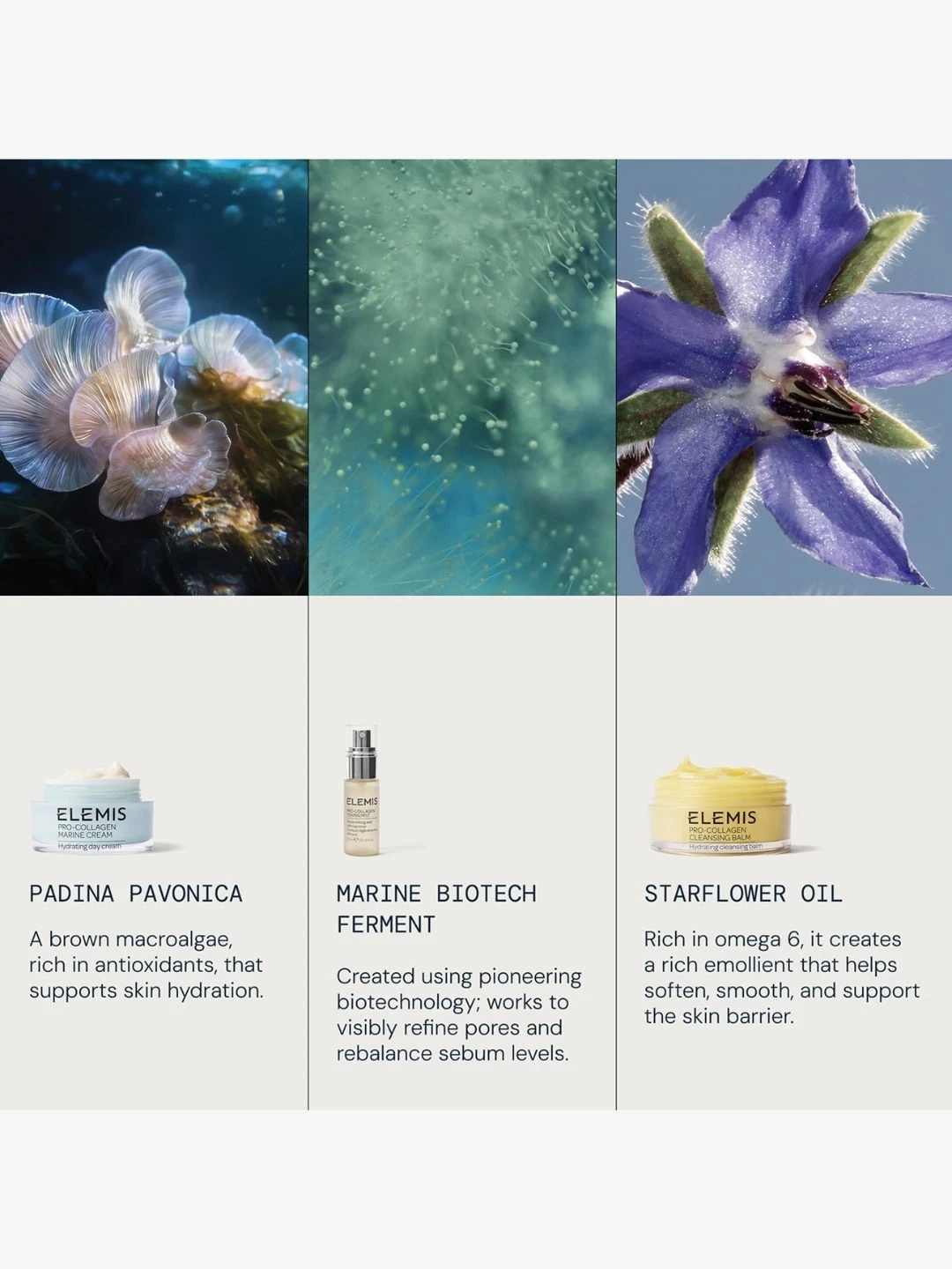 Alternative Image ELEMIS Prep& Replenish Routine