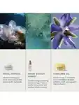 Alternative Image ELEMIS Prep& Replenish Routine