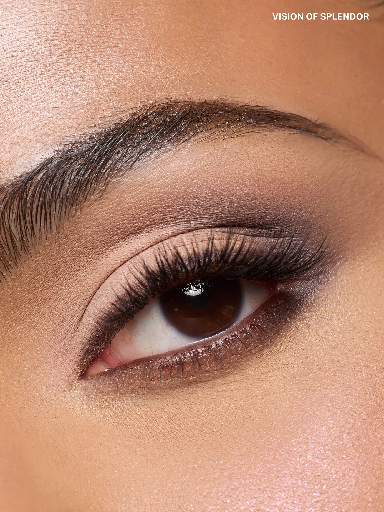 Alternative Image Morphe Vision Of Splendor Eyeshadow Trio