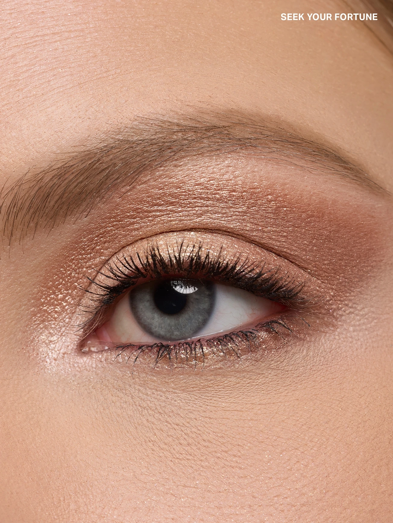 Alternative Image Morphe Seek Your Fortune Eyeshadow Trio