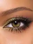 Alternative Image Charlotte Tilbury Hollywood Flawless Light Tricks Eye Palette