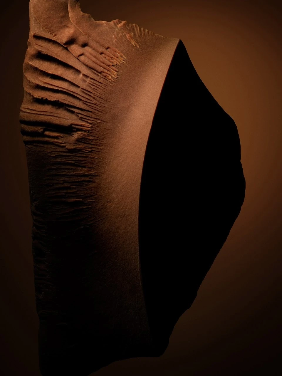 Alternative Image Tom Ford Tobacco Chocolat Eaude Parfum