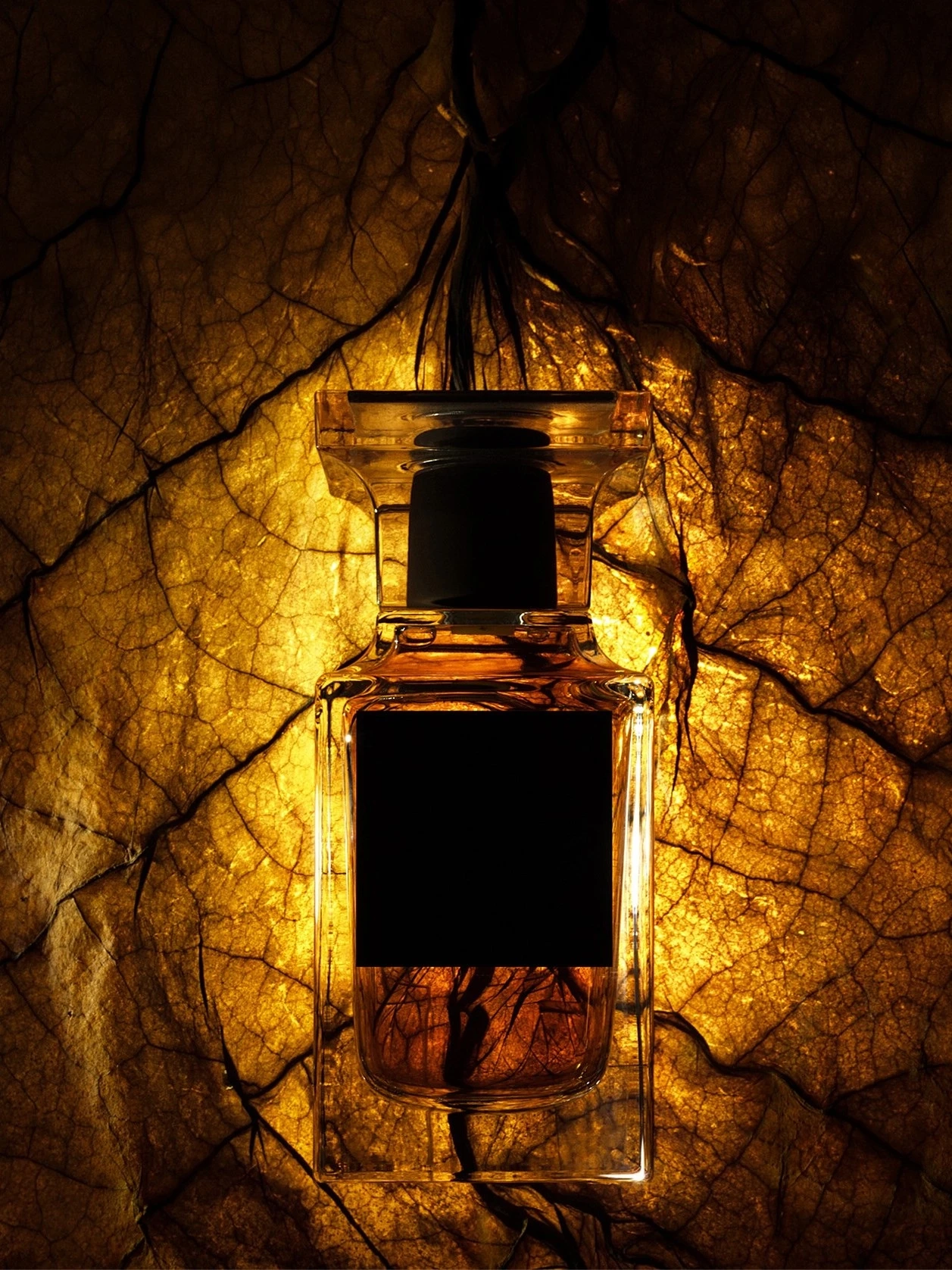 Alternative Image Tom Ford Tobacco Chocolat Eaude Parfum (2)